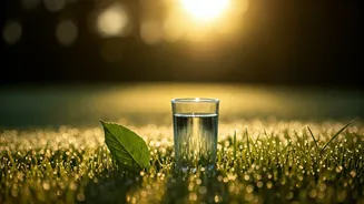 Unlock Lasting Energy: 5 Natural Ways to Boost Your Vitality Without Caffeine