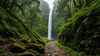 India's Hidden Monsoon Hiking Gems Revealed