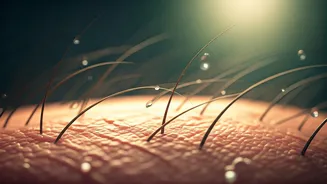 Monsoon Grooming Is Healthcare, Not Vanity