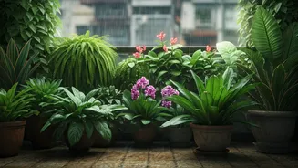 Monsoon Balcony Garden Ideas That Actually Work
