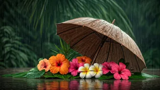 Rain-Safe Destinations Are Getting Serious Travel Attention