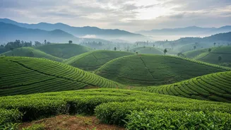 Smart Monsoon Planning Can Help Keep Your Weekend Holiday On Track