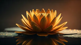 Akshaya Tritiya 2026: Spreading Prosperity with Heartfelt Wishes & Blessings