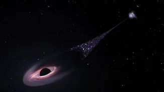 Runaway black holes can disrupt planetary systems