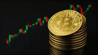 India's Crypto Landscape: Growth, Risks, and Government Scrutiny