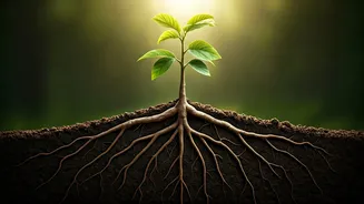 Parenting as Foundation: How Children Grow by Testing Their Roots