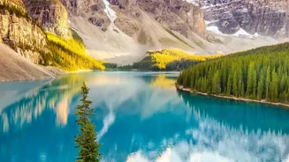 Canadian Rockies Hiking Trails: Alpine Lakes and Peaks Along Popular Trail Networks