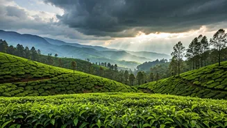 Secure Scenic Western Ghats Seats For Majestic Arrival Showers