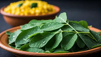 Moringa Leaves Make Simple Indian Meals More Interesting