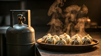 LPG Cylinder for 50 Plates of Momos: Viral Barter Offer Captures Attention Amidst Supply Woes