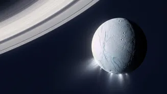 Enceladus Still Offers Evidence Of Habitability, Not Proof Of Life As Strengthens The Case For Future Life-Detection Missions Matters
