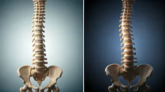 Morning Marvel: Why You're Taller After Sleep and Shorter by Night