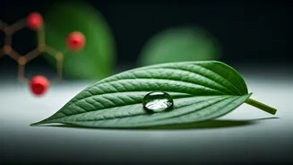 Related Stories banner