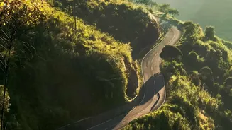 Chikmagalur Plantation Stays: Top Offbeat Driving Routes For Monsoon Travel Enthusiasts