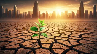 Water Stress Has Entered The City Group Chat