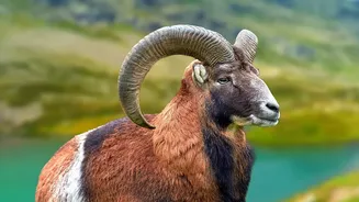 Zone Dates Can Change the Best Time for a Wildlife Trip