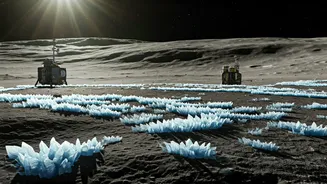 Water on the Moon: A Scientific Quest