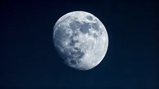 Optical Illusion: Smiling Face vs. Moon - Your Relationship Style Revealed!