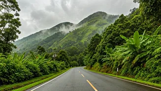 Kerala's Monsoon Beauty Comes With Smaller Crowds