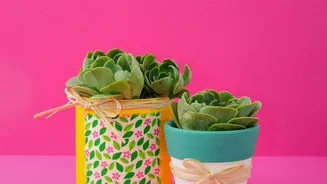 Upcycled Terracotta Homeware Trends Redefine Affordable Interior Design For Metro Youth