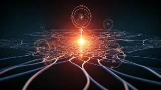 Beyond Dehydration: Unpacking the Real Causes of Post-Workout Fatigue