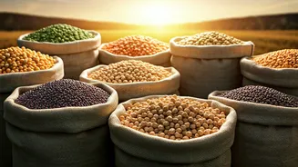 Uttar Pradesh to Begin MSP Procurement of Pulses & Oilseeds on April 2nd