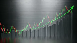 Indian Stock Market Soars: Key Highlights & Stock Performances