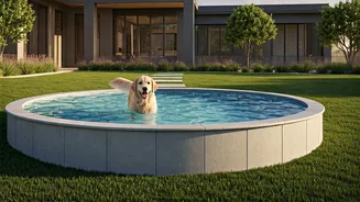 Premium Pet Boardings Featuring Custom Yard Splash Pools Trend