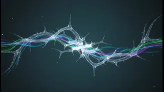 How AI Fluency Could Help Students and Professionals Collaborate with AI More Effectively