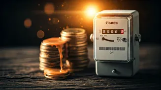 The Sun's Toll: How India's Heatwaves Are Burning Through Your Wallet