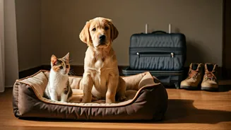 Young Travelers Refuse To Leave Furry Friends Behind This Summer