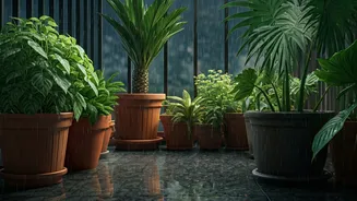 Balcony Gardening Needs A Monsoon Reality Check