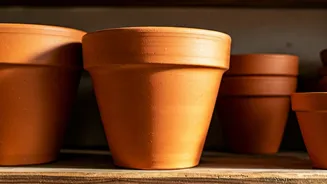 The Terracotta Aesthetic: Transforming Rented Homes With Clay Pots