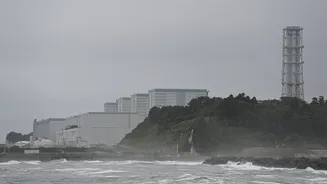 Japan prepares to restart Kashiwazaki-Kariwa nuclear plant 15 years post Fukushima fallout