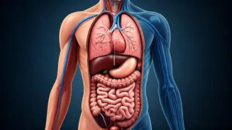 3 Days of Water Fasting: What Happens to Your Body?