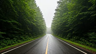 Scenic Routes Make Rainy Travel Less Stressful