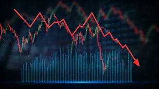 Wipro's Q3 Dip: Market Reactions and Future Outlook