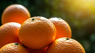 Related Stories banner