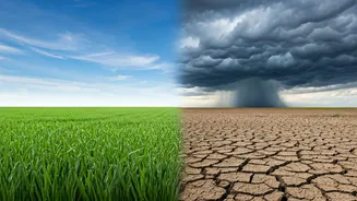 How Rainfall Patterns Shape Food Prices In India