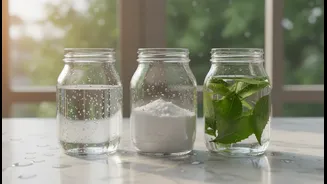 Low-Chemical Monsoon Cleaning Puts Vinegar, Neem and Baking Soda in Focus for Renters and Home Cleaners