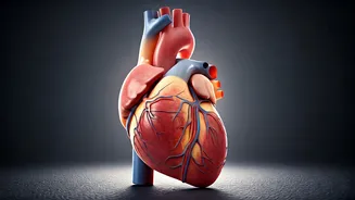 Is Your Heart At Risk? Know The Warning Signs