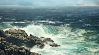 As Coastlines Erode, Their Hidden Role in Earth's Carbon Cycle Can Change
