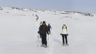 If Iceland is on your mind, keep reading