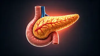 Diabetes Danger Zone: When Sugar Turns Toxic