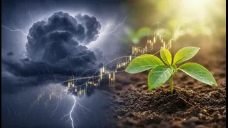 Monsoon Forecasts Have Entered Money Planning