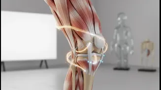 How targeted mobility drills restore range of motion during muscle repair intervals safely