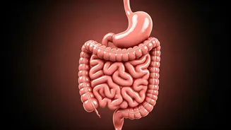 The Ghee & Oil Revelation: Body's Reaction Explained