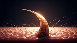 Unlock Hair Vitality: Natural Strategies for Combating Male Pattern Baldness