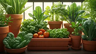Grow Healthy Vegetables Without A Big Backyard