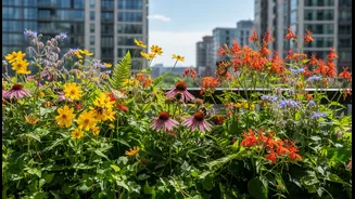 Pollinator Balconies Have Entered The Feed